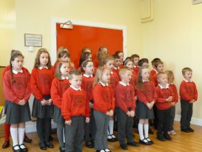 Harvest Assembly