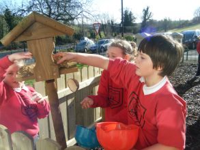 P4 and P5 making Bird Food